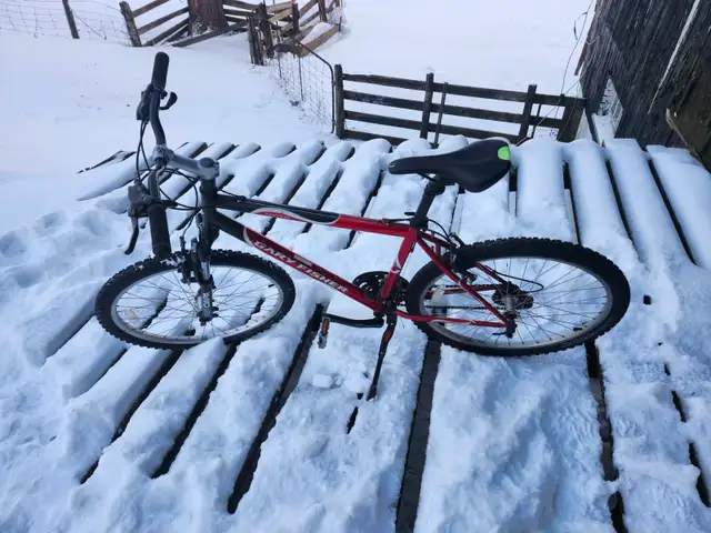 Adult Mountain BIke For Sale