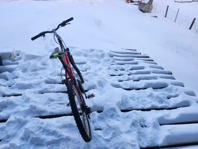 Adult Mountain BIke For Sale - Photo 2