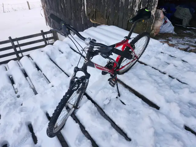 Adult Mountain BIke For Sale - Photo 4