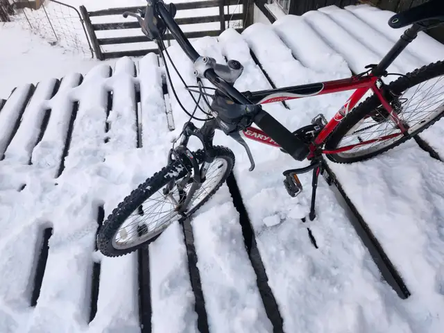 Adult Mountain BIke For Sale - Photo 5