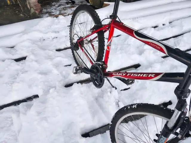 Adult Mountain BIke For Sale - Photo 9