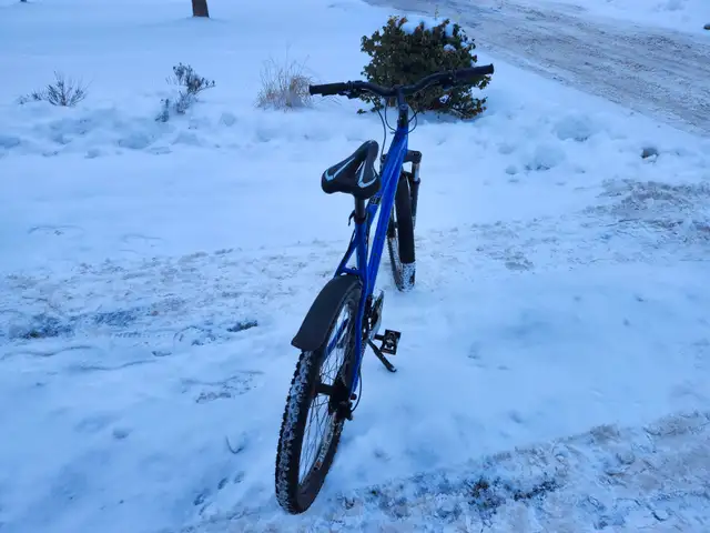 Adult Mountain Bike For Sale - Photo 2