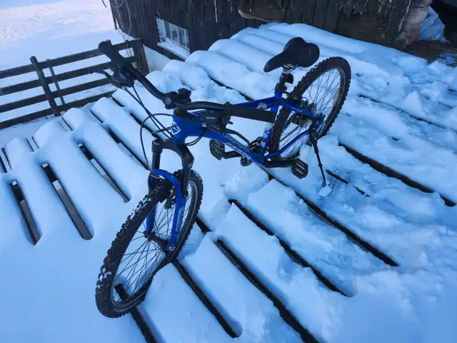 Boys Mountain Bike For Sale - Photo 2