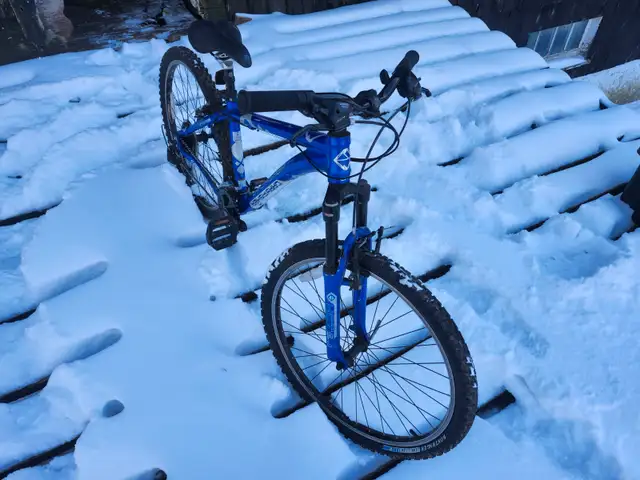 Boys Mountain Bike For Sale - Photo 3