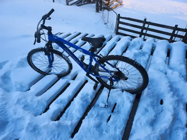 Boys Mountain Bike For Sale - Photo 4