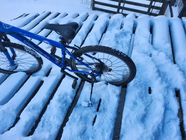 Boys Mountain Bike For Sale - Photo 5