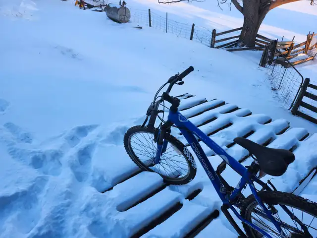 Boys Mountain Bike For Sale - Photo 6