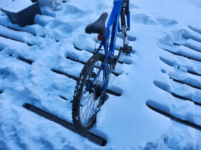 Boys Mountain Bike For Sale - Photo 7