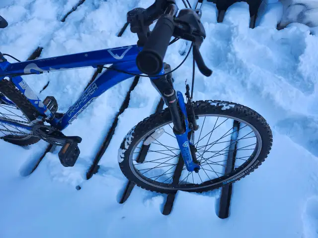 Boys Mountain Bike For Sale - Photo 8