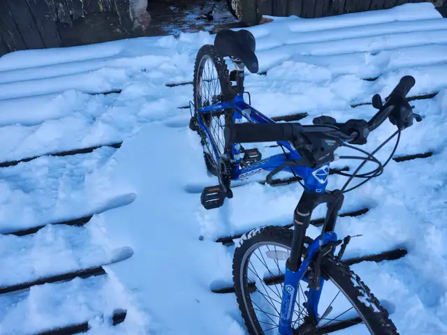 Boys Mountain Bike For Sale - Photo 10