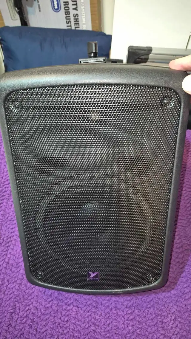 2 Yorkville Speakers for Sale