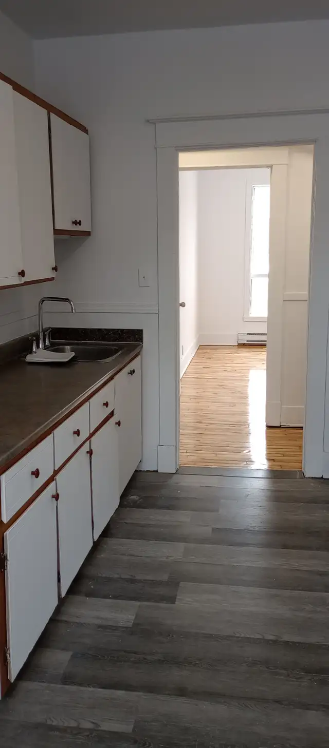 4 1/2 apt.renové, près du metro Joliette/préfontaine à louer - Photo 4