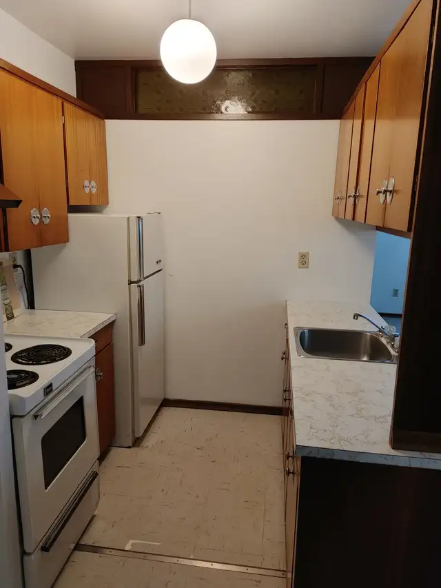 Spacious 1 Bedroom Apartment Near Brandon University - Photo 3