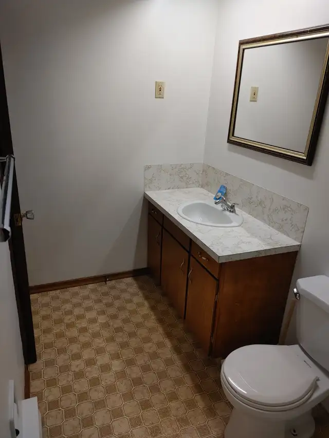 Spacious 1 Bedroom Apartment Near Brandon University - Photo 4