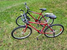 Adult Mountain Bikes For Sale