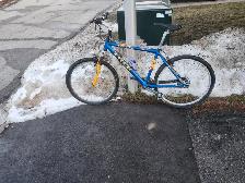 Adult Mountain Bike For Sale