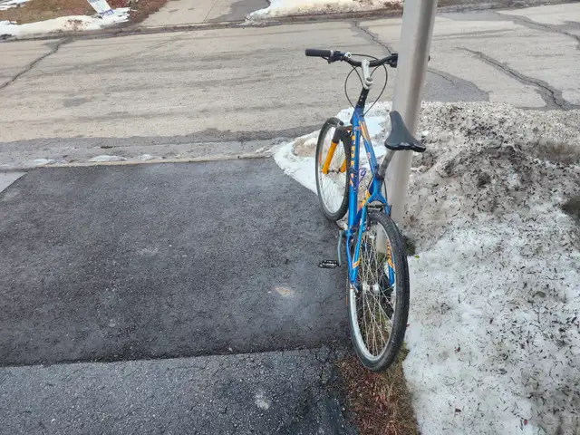 Adult Mountain Bike For Sale - Photo 2