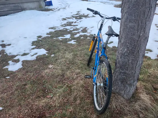 Adult Mountain Bike For Sale - Photo 3