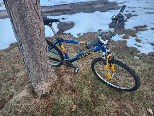 Adult Mountain Bike For Sale - Photo 4