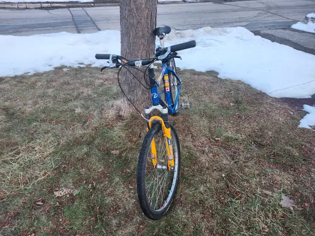 Adult Mountain Bike For Sale - Photo 5