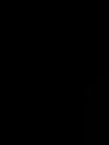 room for rent for girls