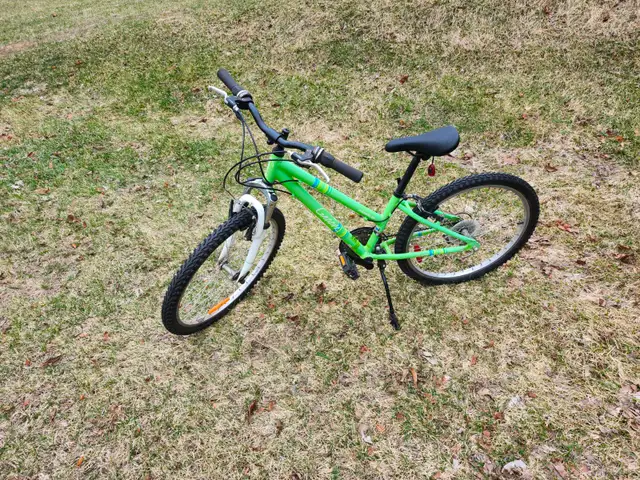 Girls Mountain Bike For Sale