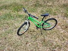 Girls Mountain Bike For Sale