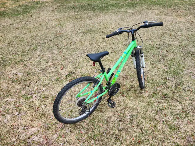 Girls Mountain Bike For Sale - Photo 3