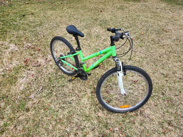 Girls Mountain Bike For Sale - Photo 4
