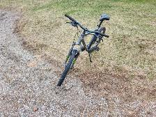 Adult Mountain Bike For Sale