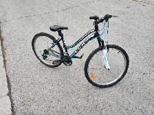 Ladies Mountain Bike For Sale