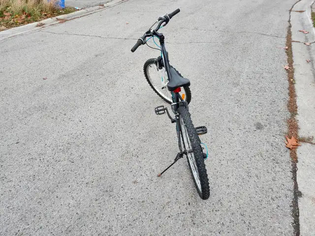 Ladies Mountain Bike For Sale - Photo 2