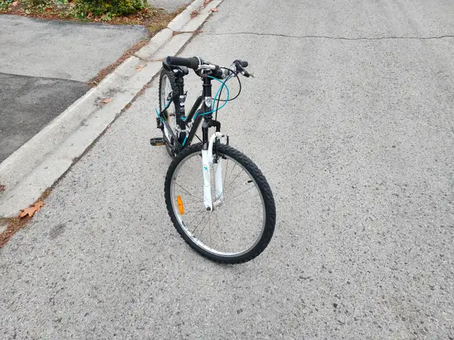 Ladies Mountain Bike For Sale - Photo 4