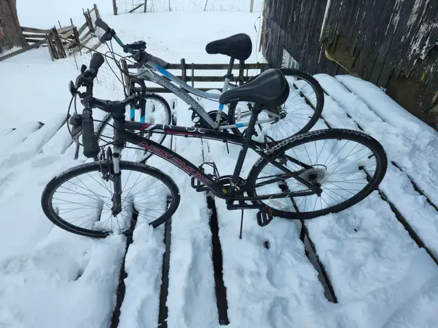 Adult Commuter Bikes For Sale