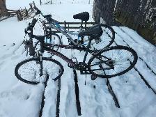 Adult Commuter Bikes For Sale