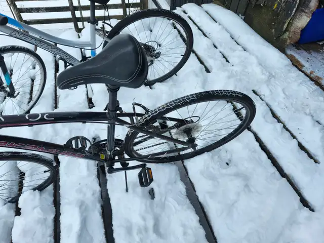 Adult Commuter Bikes For Sale - Photo 6