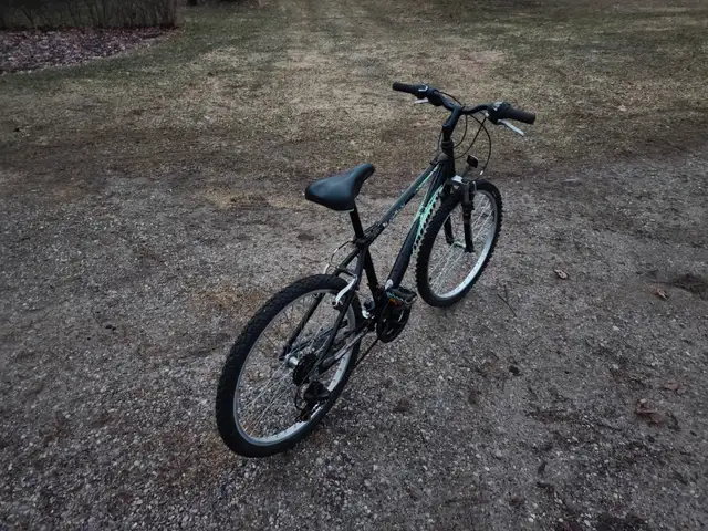Boys Mountain Bike For Sale - Photo 2