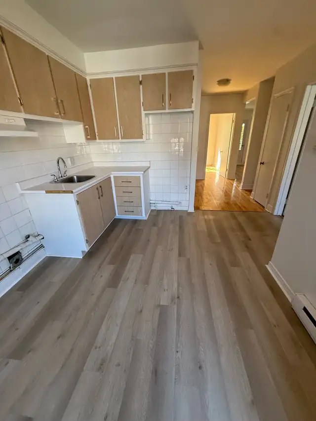 4 1/2 Rosemont La Petit Patrie - Photo 5