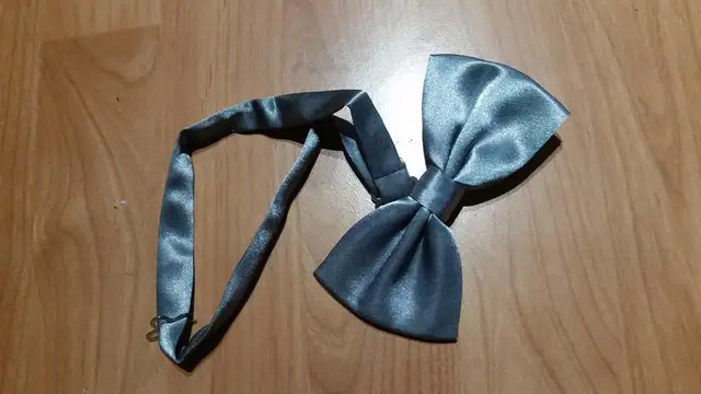 Bow Ties Brand New - Photo 3