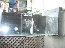 MOVING SALE RED SEA 350 TANK, STAND ,SUMP FILTER $300