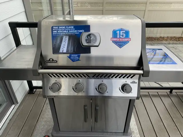 Professional Grill Cleaning Ottawa - Photo 3