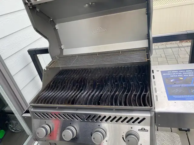 Professional Grill Cleaning Ottawa - Photo 4
