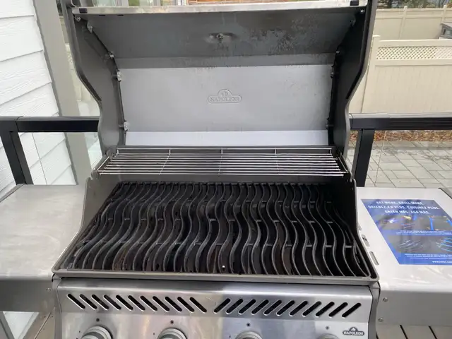 Professional Grill Cleaning Ottawa - Photo 9
