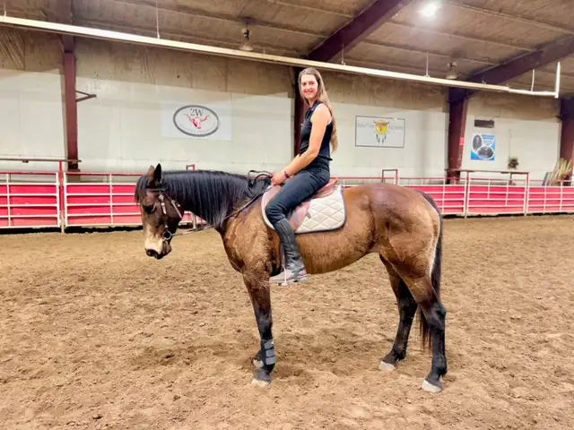 Amazing TB/Belgian Mare - Video - Photo 4