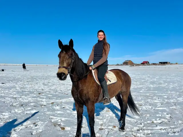 Wonderful TB/Belgian Mare - Video - Photo 9