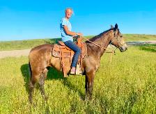 TB/Belgian Mare - Video!