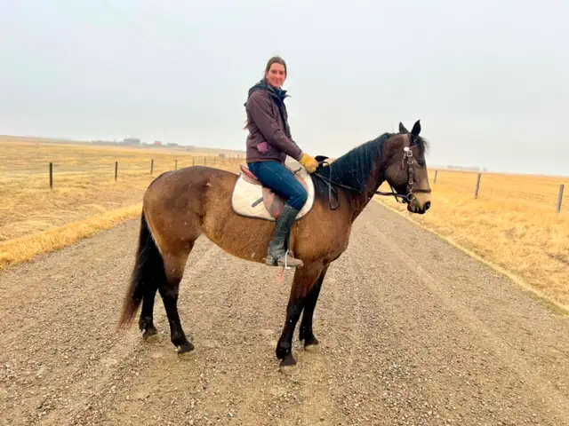 TB/Belgian Mare - Video! - Photo 9