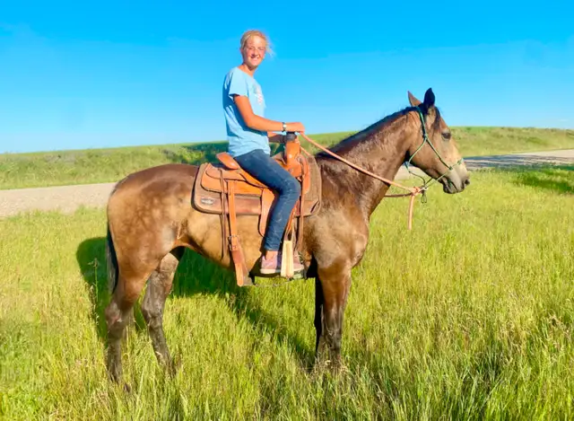 Super TB/Belgian Mare - Video