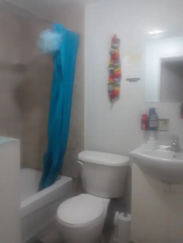 SHARED ROOM IN BASEMENT APT from 1st MAY. IN SCARBOROUGH/TORONTO - Photo 7