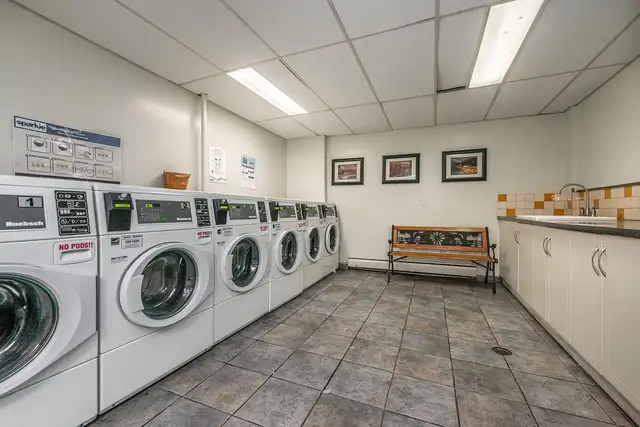 1bdrm Apartment for Rent - 1255 Pendrell Street - Photo 13